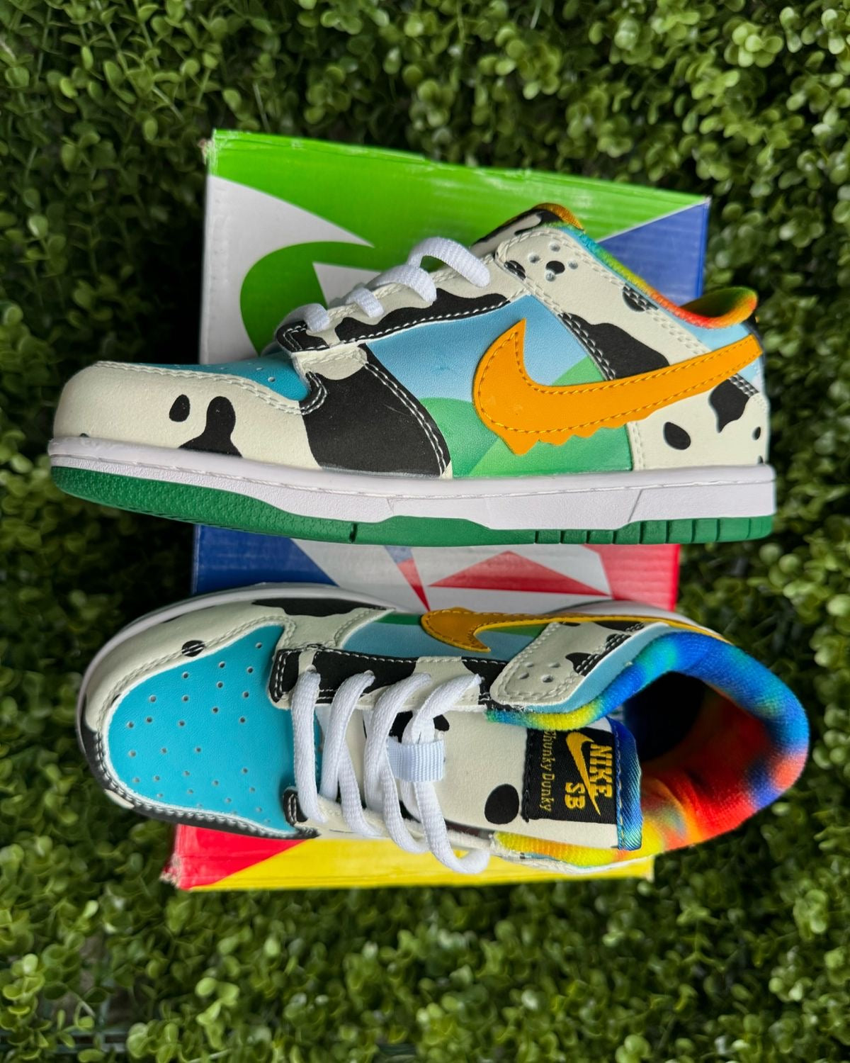 Nike deuk low ￼