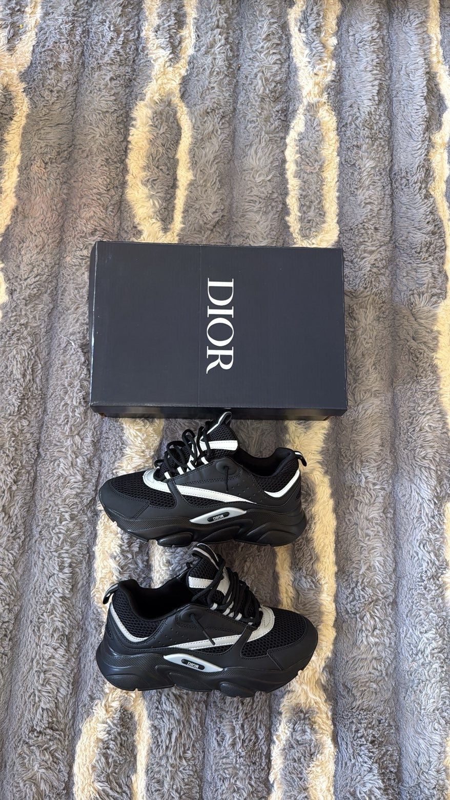 Dior b22