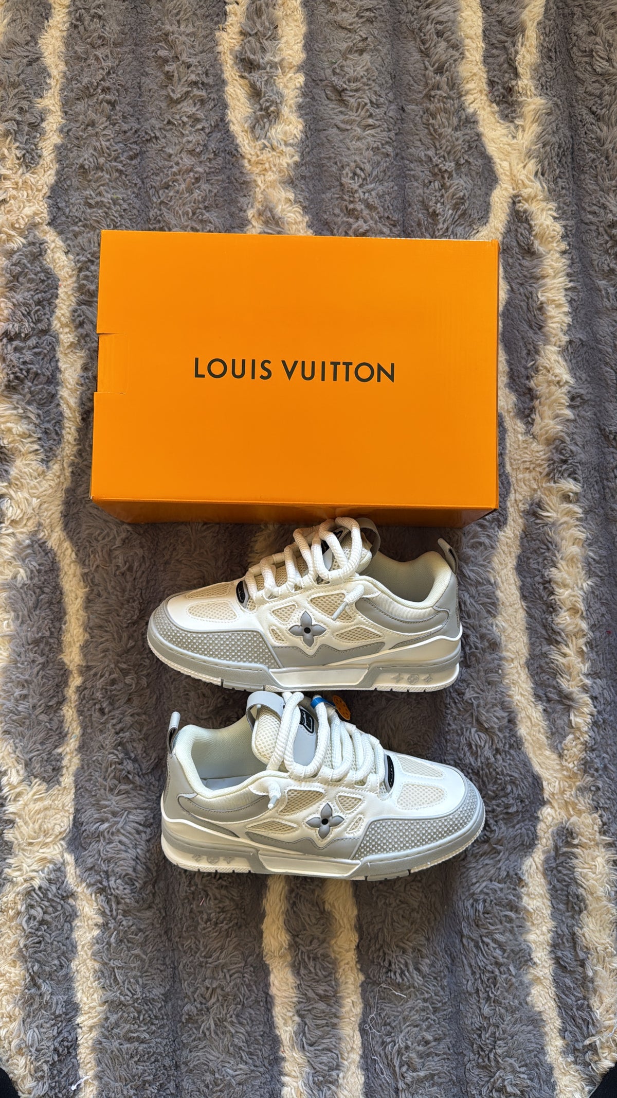Louis Vuitton skate