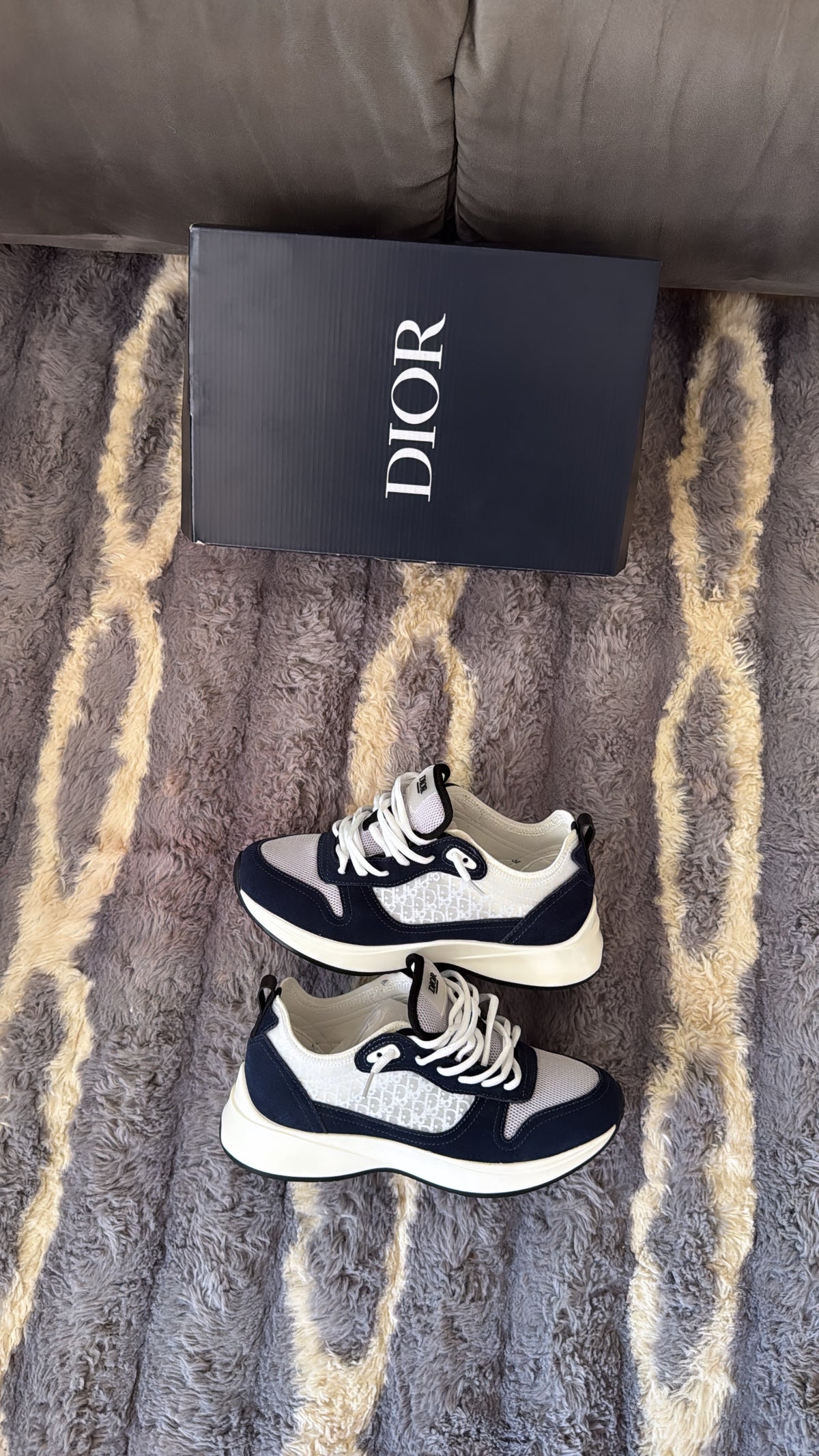 Dior b25