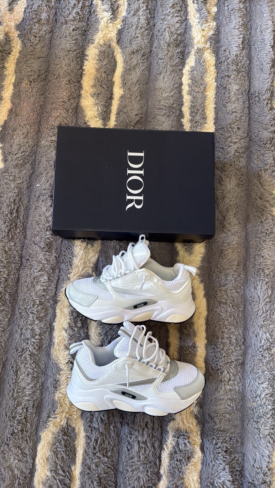 Dior b22